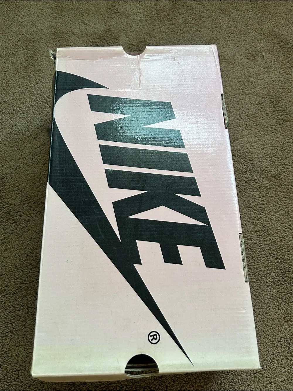 Nike Men’s Low-Top Sneakers in White and Green NIKE SB DUNK WHITE/GREEN PINK BOX